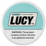 Lucy Pouch Wintergreen 8mg 